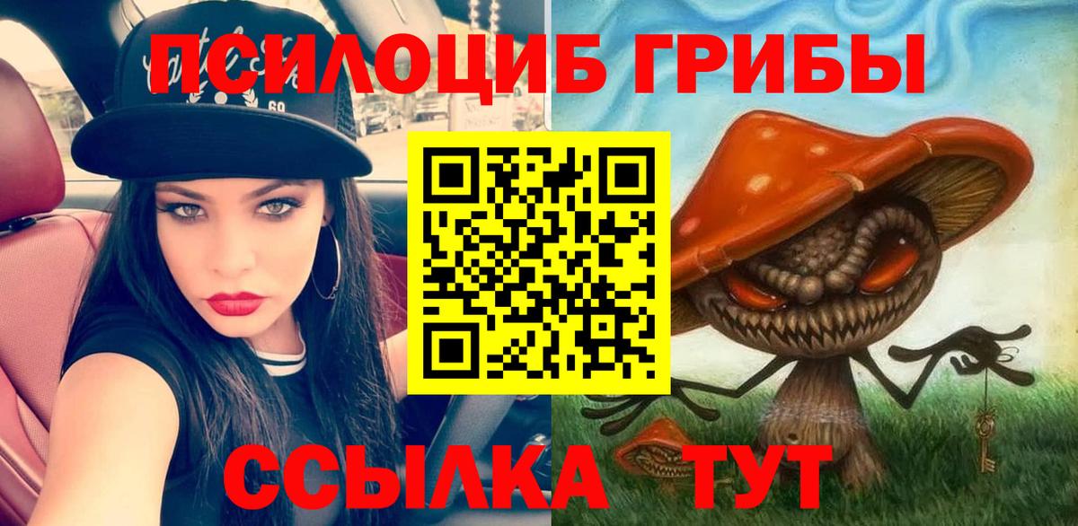 хочу   Псилоцибиновые грибы мухоморы  Вход с VPN  Асино 