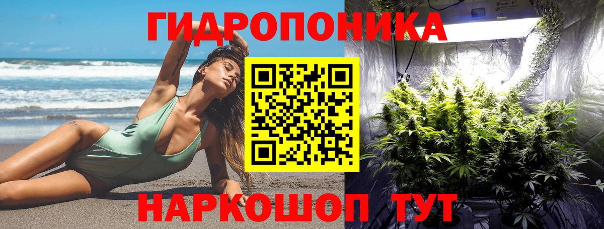 МАРИХУАНА OG Kush Асино